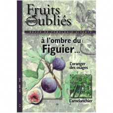 variétés de figues à sécher